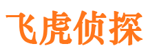 嫩江市调查公司